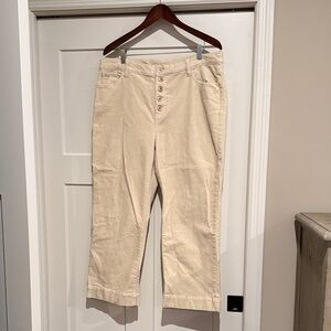 CAbi Cream Ribbed Knit Garment